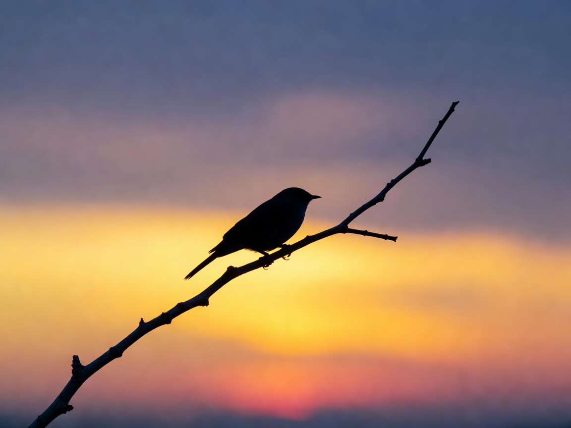 Silhouette of a bird resting on a thin branch against the sky
